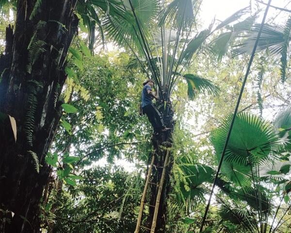 Lvpat tvrà taq vpǿ, ring vtang nø tvmø bv̀nlì íwe