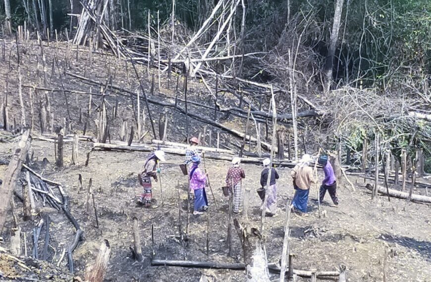  “Ozone” shvle gvzà vkatshì rvt wā shø’ngtøng kvt bø’à dang.