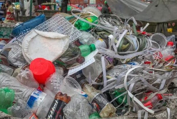 2025 nø’ng Mònggvn Toniò Kurwang Angni( “Plastic Shøqshè Banchvk Dvsherlvm “)