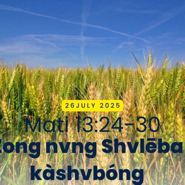 Zong nvng Shvlēba kàshvbóng