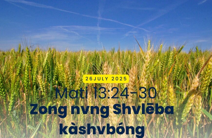 Zong nvng Shvlēba kàshvbóng