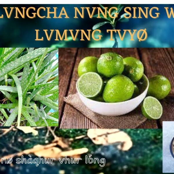 Rvshúgv’ng nø shàqhur vhur lòng mvbvn rì dvpvt ci tiqpvn