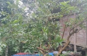  “Mvnlvgàsvp vjú vl we dang”