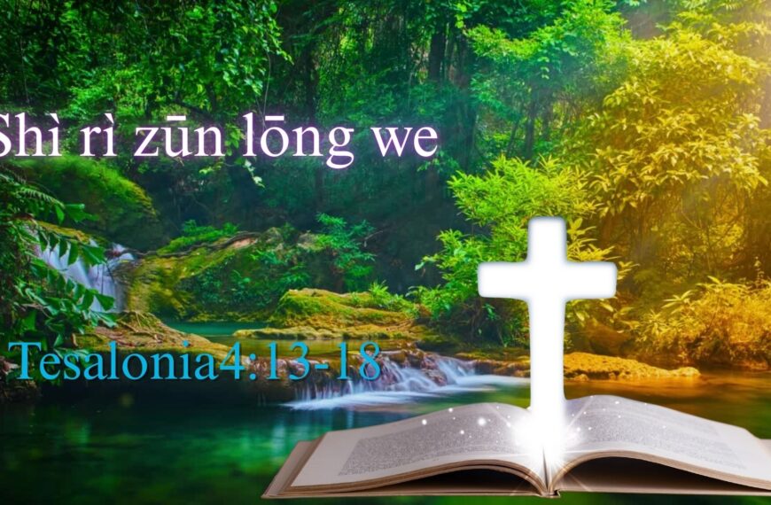 Shì rì zūn lōng we