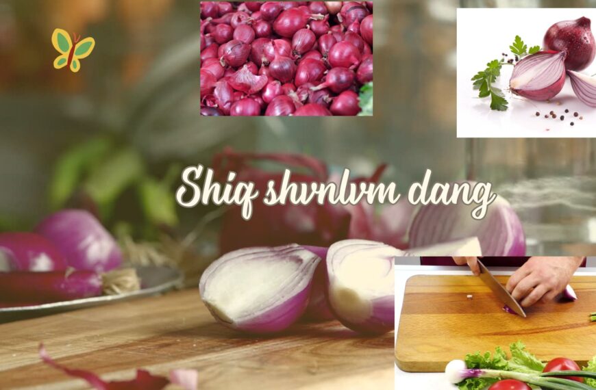 Shiq shvnlvm nvng sing we Gvrò mvshé dang