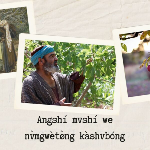 Angshí mvshí we nv̀mgwètø̀ng kàshvbóng