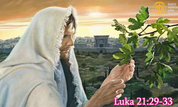 Nv̀mgwè tø̀ng kàshvbóng