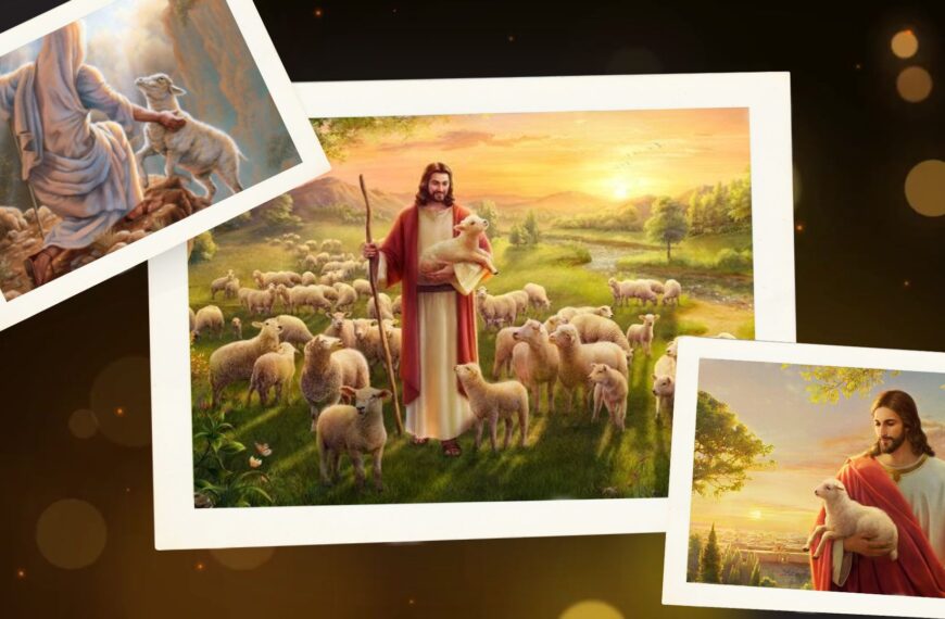 Vmvng we vyv̀ngcè kàshvbóng