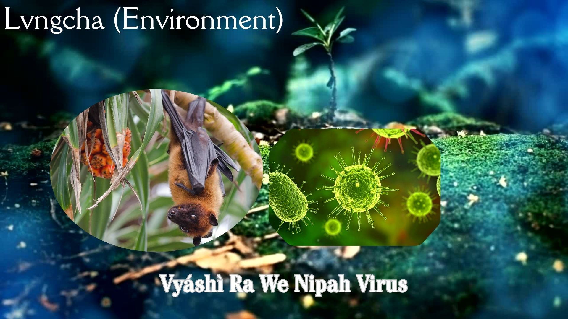 Vyáshì Ra We Nipah Virus