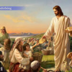 Butdvshi kàshvbóng