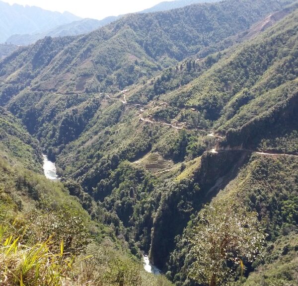 Mongzxl nvng Jurxt Shiwe long