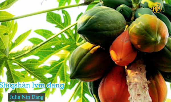 Shiqshàn lvm dvpat Svngpo shí vm ra we