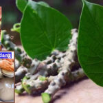 Mvnoi Ron ka mé Vjú VL dang