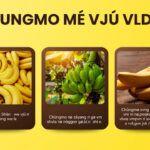 Chungmo mé vjú vldang