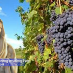 Yesu nø bìmrøng mvdø̀ng í we
