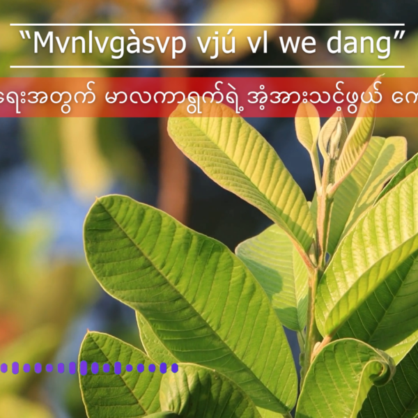 “Mvnlvgàsvp vjú vl we dang”