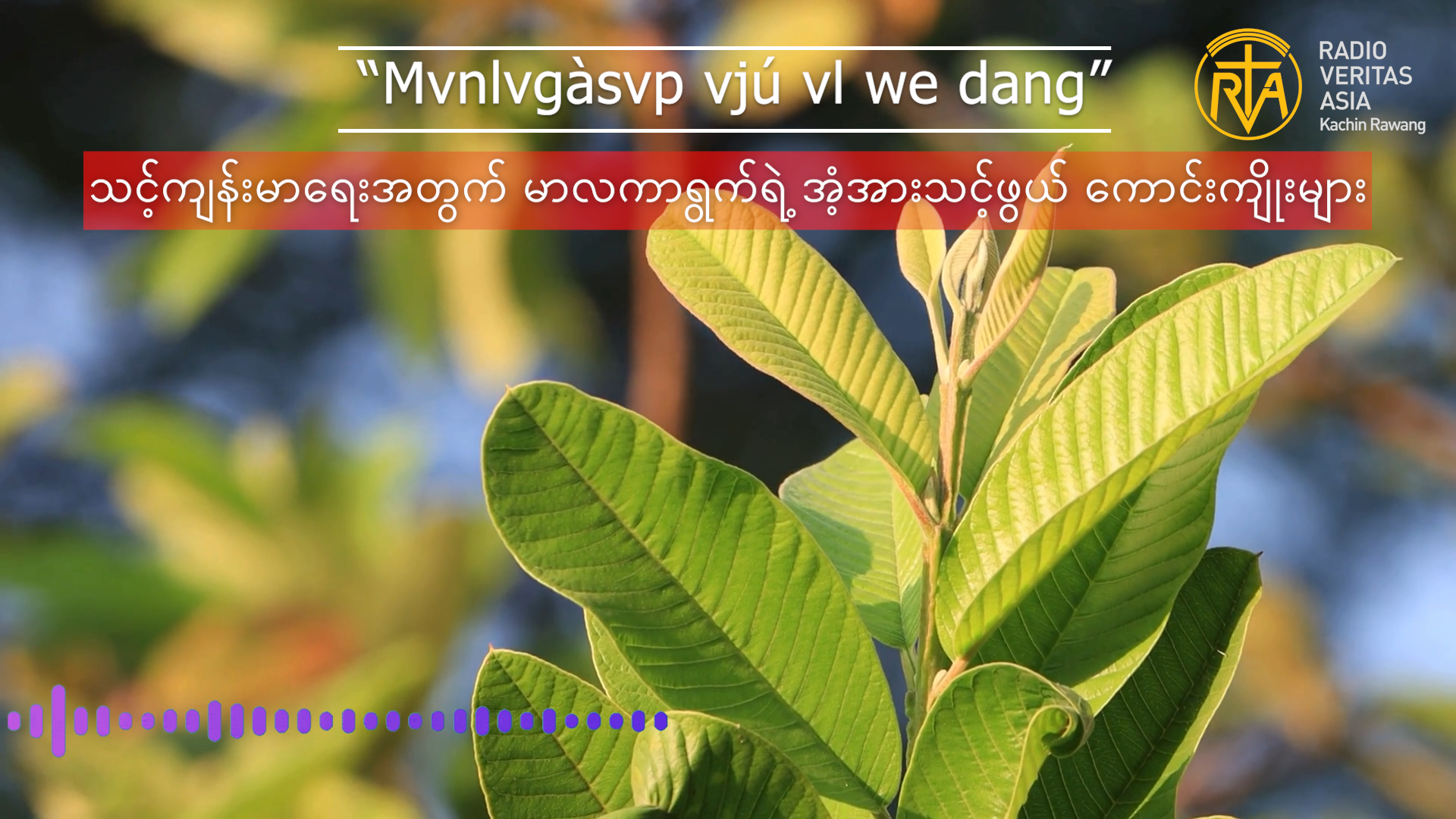“Mvnlvgàsvp vjú vl we dang”