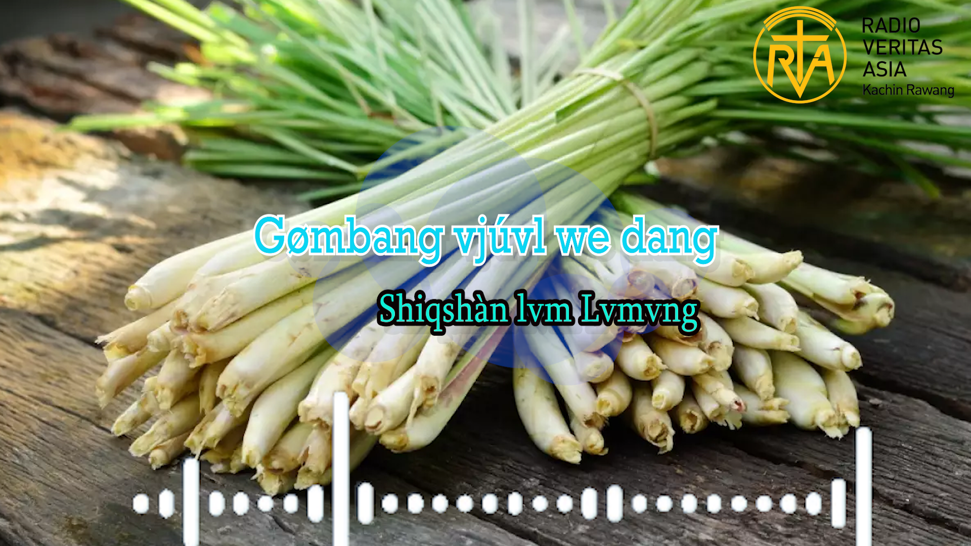 Gømbang nø kvnkøn we taq zvngngi nø vngábyó we pvn íe. Dári dvgvp shaqré rìnø vnà bvløng gvsat ò taqgø lángyang nga wr gøíe. Deni lahøq gø Móng vsvng shvngbè í kbnkøn we taq gø,Zì ziò we taq gø láng ngò weíe.Gømbang lòng vjú vl we dang svng yang lvm wai. Shagóng taq vjú zi we shagóng taq vl ra we Vitamin nvng dvtdut dvtri nø Gømbang taq gvza vbá we svng gø yang lún shi we íe. Vitamin A nvng Vitamin C nø Gømbang yáng kvt gvza vbá rvt ne Shiqshàn lvm taq gvza vjú zi we íe. Gømbang taq dvtdut ri gvaza vbá rvt shvwi nonggung yúm we taq kení gø vgâm ò we í nø shv mara ri dvpat gvza vjú zí we ci tiqpvn gø í we svng shá lún shi e.